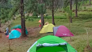 Asyiknya Ngecamp di Permadi Jungle Guci