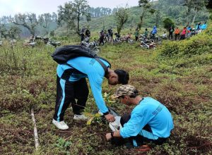 Perhutani Bersama Relawan Tanam dan Sulam Pohon di Hutan Lindung Brebes