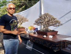 The Art of Bumi Bagelan, Upaya PPBI Bangkitkan Bonsai Purworejo