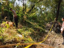 Polisi Terjunkan Anjing Pelacak, Usut Kasus Mayat Wanita Separuh Badan di Brebes