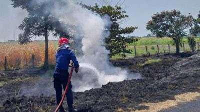 Kebakaran Lahan Terjadi di Tol Pejagan-Pemalang