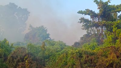 Ilalang TPU Cleret Terbakar