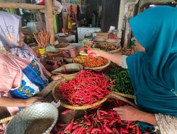 Permintaan Lesu, Harga Cabai Rawit Merah Turun