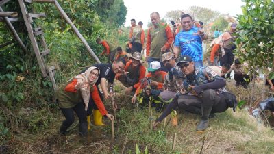 1.500 Mangrove Ditanam di Bantaran Kali Kemiri