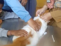 Hari Rabies Sedunia, Dinas KPTan Siapkan 200 Dosis Vaksin Rabies Gratis