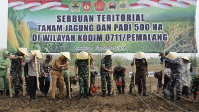 Danrem 071/Wijayakusuma Tanam Padi dan Jagung di Pemalang
