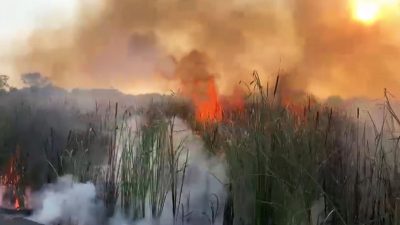 Lahan Kosong di Kota Tegal Rawan Kebakaran