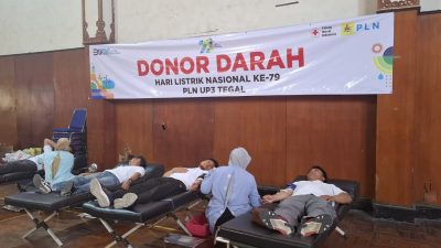 PLN Gelar Donor Darah di Hari Sumpah Pemuda dan HLN ke-79