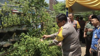 KWT Penthol  Kejambon, Jadi Gugus Tugas Ketahanan Pangan