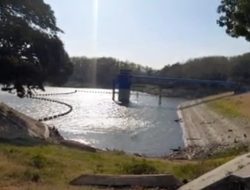 Debit Waduk Malahayu Brebes Kritis, Suplai Air ke Pertanian Dihentikan