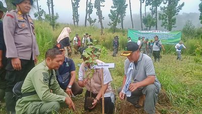 Perhutani Bersama Stakeholder Gelar Penyulaman Tanaman di Hutan Lindung Lereng Barat Gunung Slamet
