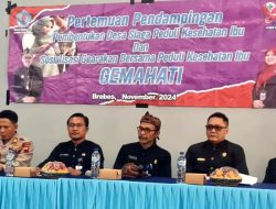 Pemkab Brebes Tetapkan Dua Desa sebagai Percontohan Desa Siaga Peduli Kesehatan Ibu Anak