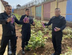 Lapas Batang Ubah Lahan Tidur Jadi Produktif