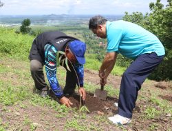 Pulihkan Lahan Kritis Hutan Lindung, Warha Danaraja Tanam 30 Ribu Bibit Pohon