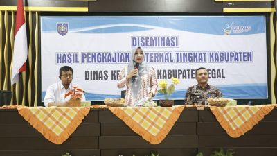 Kematian Ibu Hamil 13 Kasus, Disebabkan Perdarahan dan Preeklamsia