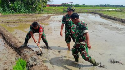 Dandim Pemalang Siapkan Lahan Penanaman Bibit Padi Sinar Mentari