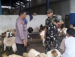 Penyebaran PMK  Terus Diwaspadai