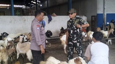 Penyebaran PMK  Terus Diwaspadai