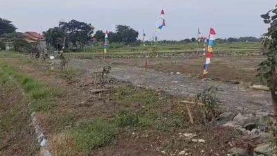 Parah, Lahan Pertanian Diduga Alih Fungsi Jadi Tanah Kavling