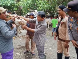 Tim Gabungan Awasi Kesehatan Ternak di Pasar Hewan Bumiayu