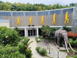Museum Semedo Menyimpan Keanekaragaman Fauna Purba