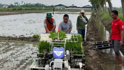 Ini Penyebab Pupuk Bersubsidi di Kabupaten Tegal Langka
