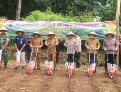 Kurangi Impor Pangan, Polres dan Pemkab Pemalang Tanam Jagung
