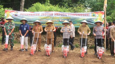 Kurangi Impor Pangan, Polres dan Pemkab Pemalang Tanam Jagung