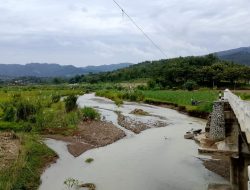 Erosi Sungai Cikuya Kian Parah, Puluhan Hektare Sawah di Cinanas Brebes Hilang