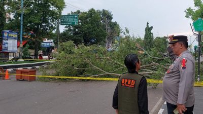 Area Alun – alun Pemalang sebagian Belum bisa Akses Masyarakat