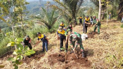TNI, PDAM dan Limata Tanam 265 Pohon di Bukit Cucut Desa Gambuhan