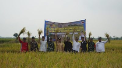 Panen Raya, Petani Diimbau Jual Gabah ke Bulog