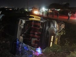 Bus Dedy Jaya Terguling di Jalan Lingkar Bumiayu, 8 Orang Luka-luka