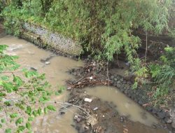 Tebing Talang Irigasi di Mulyoharjo Tegal Ambrol, 150 Ha Lahan Pertanian di 5 Desa Terancam Tak Bisa Tanam