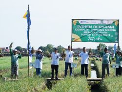 Petani Bawang di Brebes Panen Raya Hasil Demplot Pupuk Kujang