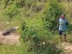 Begal Motor Bawa Senpi di Brebes Babak Belur Dihajar Korbannya