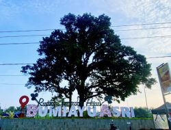 Proyek RTH Bumiayu Rp 1,9 Miliar Dibatalkan, Ini Kata Para Seniman yang Kecewa Berat