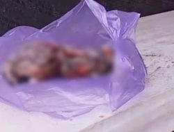 Penemuan Jasad Bayi di Pantai Batamsari Gegerkan Warga Tegal