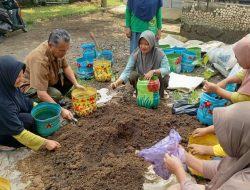 IIKP Cabang Pekalongan Barat Galakkan Budidaya Toga dan Sayuran