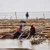 Dua Dekade Tinggal di Tengah Banjir Rob, Warga Gantungkan Harapan pada Tanggul Laut