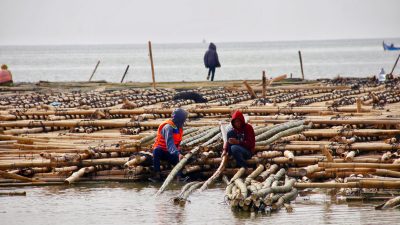 Dua Dekade Tinggal di Tengah Banjir Rob, Warga Gantungkan Harapan pada Tanggul Laut