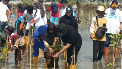 Dipusatkan di Pesisir Brebes, Gerakan Mageri Segoro Gubernur Luthfi Targetkan Tanam 1,5 Juta Mangrove