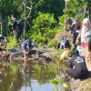 1.000 Bibit Mangrove dan Api-api Ditanam Atasi Abrasi di Pantai Pulo Komodo