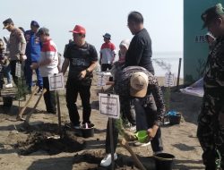 Cegah Abrasi, Pemkab Tegal Galakkan Penanaman Cemara Laut dan Mangrove