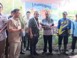 Perawatan Mangrove Harus Dipikirkan Keberlanjutannya