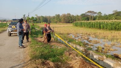 Satu Tewas, Tawuran Remaja di Rungkang Brebes