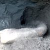 Fosil Gading Gajah Purba 2 Meter Ditemukan, Kini Diteliti BRIN di KSL Maribaya Bumiayu