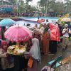 Ruwat Bumi Desa Rembul Tegal, Potong Kebo Bule Agar Masyarakat Makmur