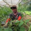 Ahmad Luthfi Dorong Regenerasi Petani Muda Lewat Program Zilenial di Jawa Tengah