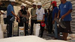 Bupati Brebes Sidak Gudang Bulog Antisipasi Peredaran Beras Oplosan